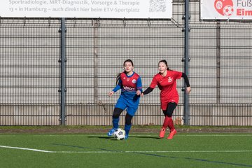 Bild 207 - wCJ Eimsbuettel - VfL Pinneberg : Ergebnis: 6:2